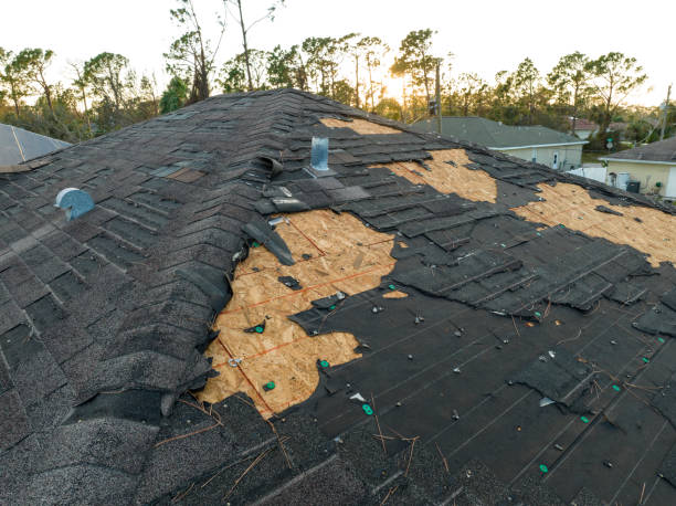 Best Rubber Roofing (EPDM, TPO)  in USA